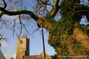 Meavy oak and church